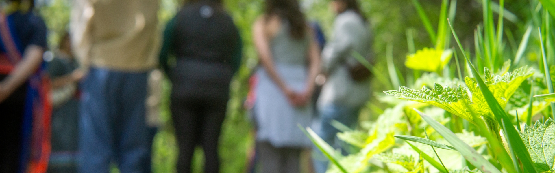 Group of youth standing and listening on a trail on a bright and sunny day