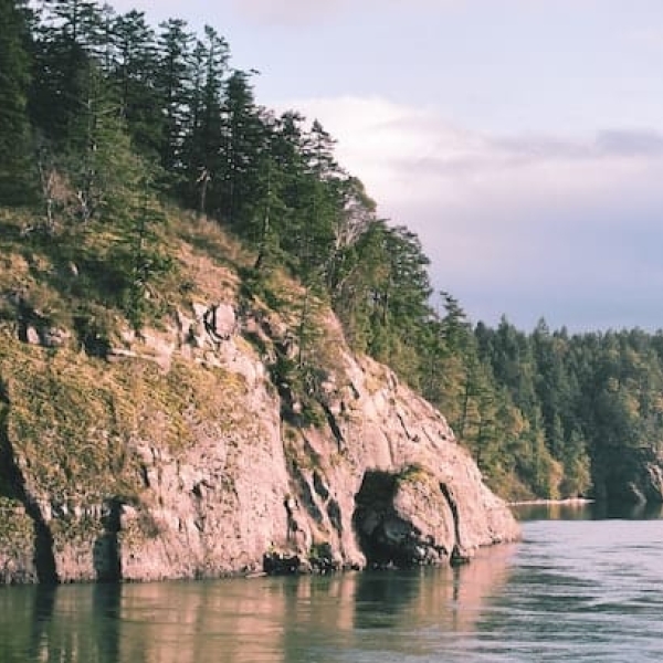 Tree-covered cliff overlooking a lake