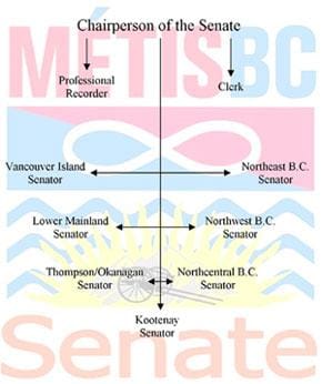 MNBC Senate Chart